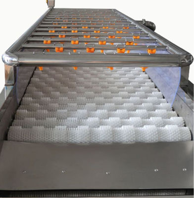 3.35KW खाद्य प्रसंस्करण मशीनरी, 1000kg / h स्प्रे सफाई मशीन
